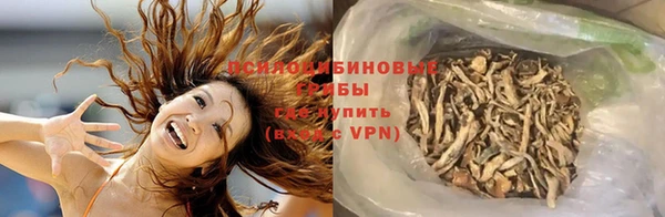 шишки Алексин