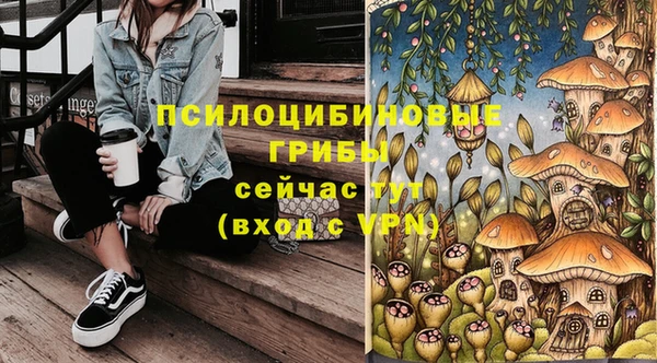 герыч Алзамай